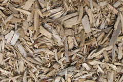 biomass boilers Westgate